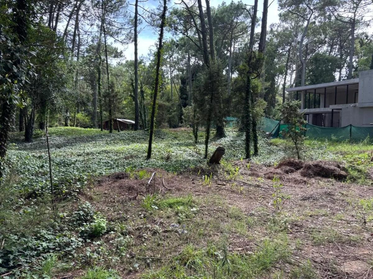 Terreno Lote en Venta en Carilo, Costa Atlántica, Buenos Aires
