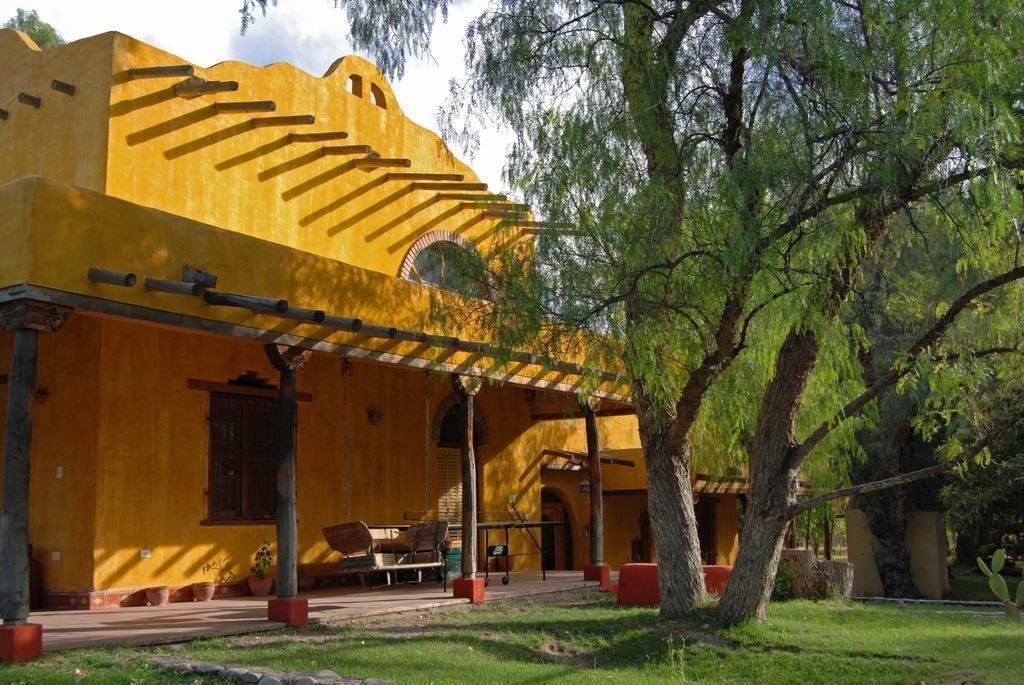 LOS OLIVOS al 900, Rama Caida