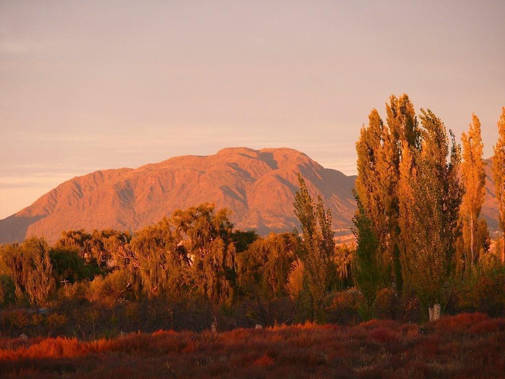 El Moro al 4000, Rama Caida