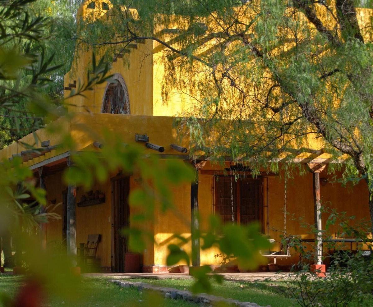 LOS OLIVOS al 900, Rama Caida